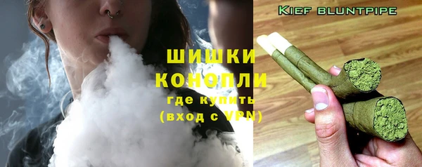 мяу мяу мука Белокуриха