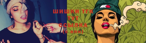 шишки Беломорск