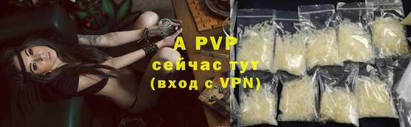шишки Беломорск