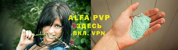 шишки Беломорск