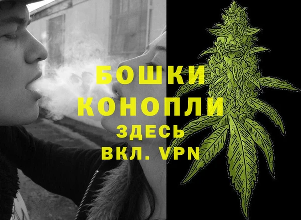 шишки Беломорск