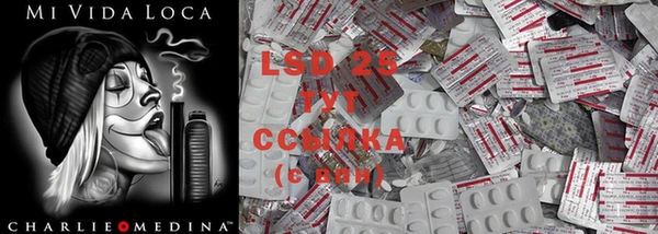 стаф Липки