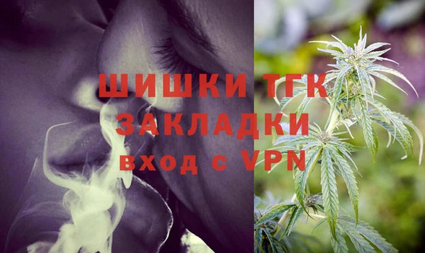 мяу мяу мука Белокуриха
