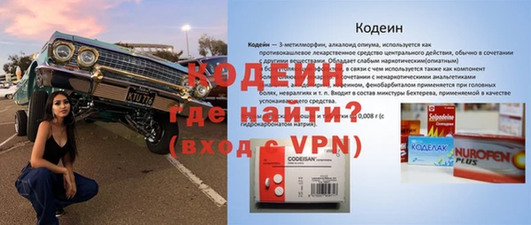мяу мяу мука Белокуриха