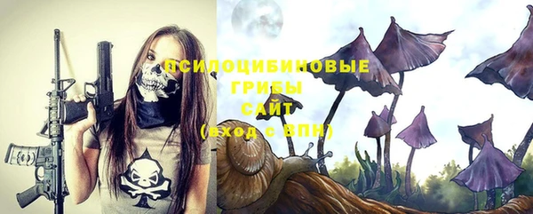 прущий лед Белоозёрский