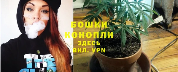 шишки Беломорск