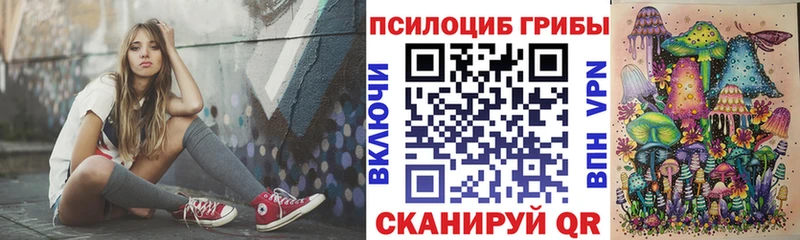 Галлюциногенные грибы Psilocybine cubensis  наркошоп  Бокситогорск 